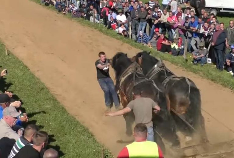 Романијски вук наставља са побједама и на Изачићу (ВИДЕО)