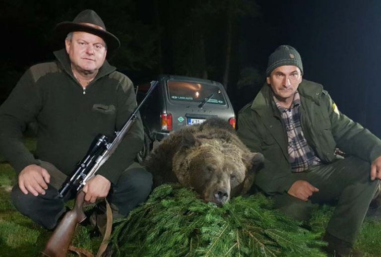 Код Сокоца убијен медвјед капиталац