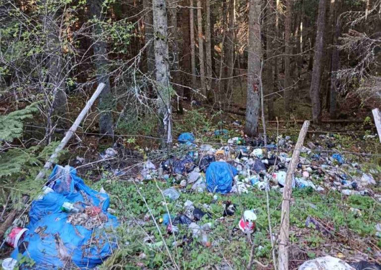 Да ли је Романија важна само док се из ње извлаче балвани?